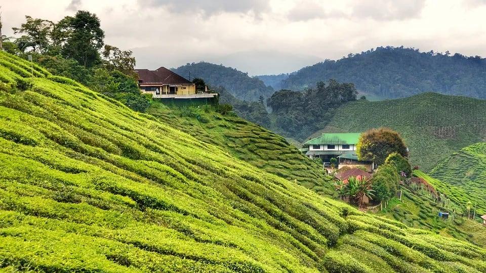 Strategic Pivot: Pentagon Turns to Malaysia to Secure Rare Earth Supply Chain