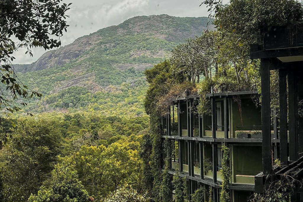 Architecture that Breathes: The Timeless Allure of Tropical Modernism