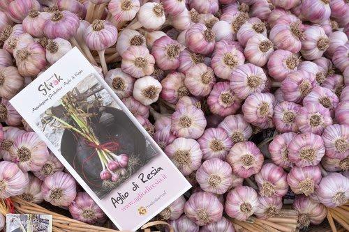 In North-Eastern Italy, an Alpine Valley Revives its Ancient Garlic Tradition to Build a Model for Modern Mountain Enterprise